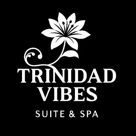 Trinidad Vibes - And Aire-sur-la-Lys