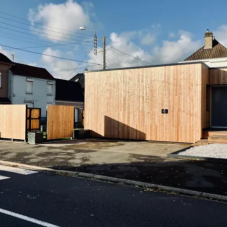 Daire Trinidad Vibes - And