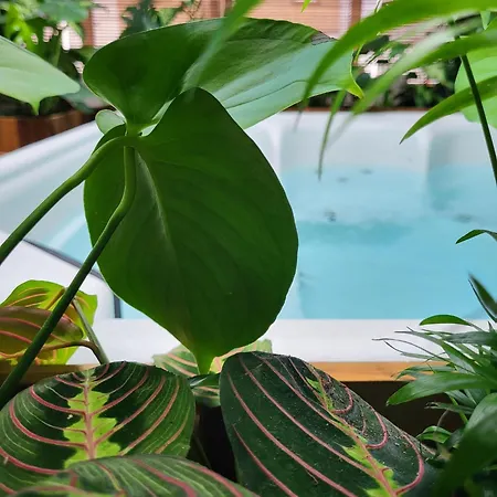 Apartment Trinidad Vibes - And Aire-sur-la-Lys