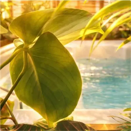 Trinidad Vibes - And Apartment Aire-sur-la-Lys